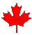 Canada maple leaf